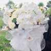 《蝴蝶》-巨型蝴蝶兰花束 商品缩略图8