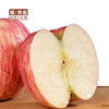【GYZYDR】洛川红富士#65-#702.8-3.2斤/份 商品缩略图1