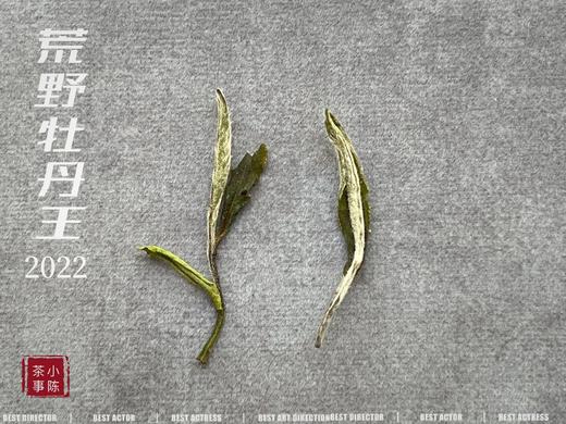 《冷香宜》，2022荒野牡丹王里的清冷寒香（60克罐装） 商品图4