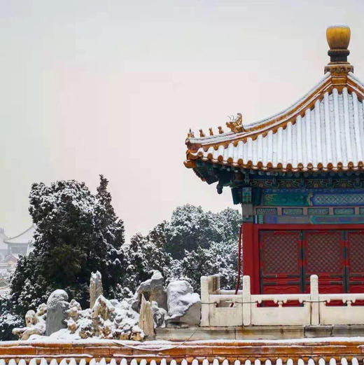 紫禁城600年茶具 雍正磁胎画珐琅芝兰祝寿黄地仿古茶具 商品图6