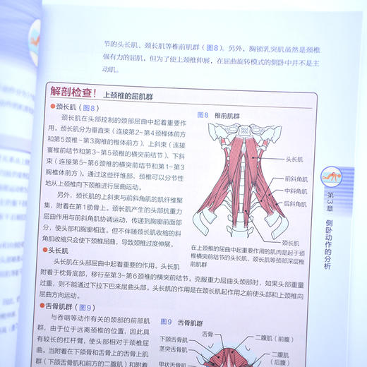 基于姿势控制原理的基本动作分析与评估 商品图5