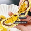 (山姆爆品) 蛋黄酥55g  [Member’s Mark] (T) 商品缩略图3