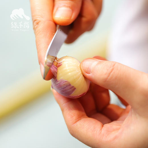 生态紫皮蒜头（干蒜）| 合作生产*Ecological purple garlic| Partner Production 商品图5