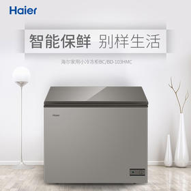 海尔冰柜家用 冷藏冷冻转换小型 冷冻柜 商用冰柜速冻保鲜柜 一级能效 103升 BC/BD-103HMC