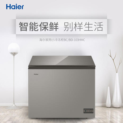 海尔冰柜家用 冷藏冷冻转换小型 冷冻柜 商用冰柜速冻保鲜柜 一级能效 103升 BC/BD-103HMC 商品图0