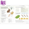 【中商原版】Science Technology and Engineering Workbook  DK 科学 技术 工程手册 7-10岁 KS2 STEM课程学习 英文儿童教辅 商品缩略图4