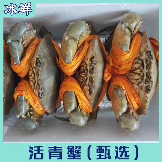 活青蟹（公，母）【死了包赔】 商品图1