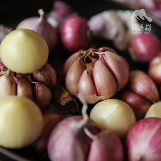 生态紫皮蒜头（干蒜）| 合作生产*Ecological purple garlic| Partner Production 商品图0