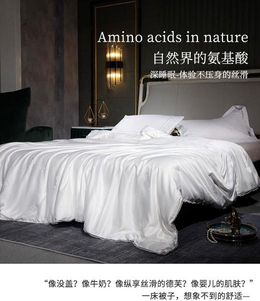 臻品贡缎提花蚕丝被 商品图0