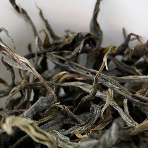 皇家贡茶！细叶皇后！以雅见长！——2022年困鹿山古树头春挑采200g 商品图2