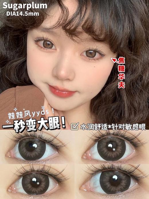 Sugarplum糖豆家-焦糖华夫850缺货 商品图7