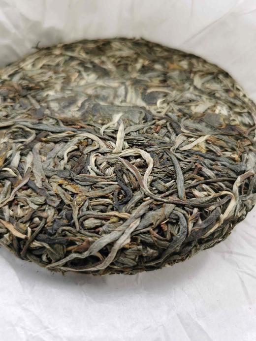 皇家贡茶！细叶皇后！以雅见长！——2022年困鹿山古树头春挑采200g 商品图3