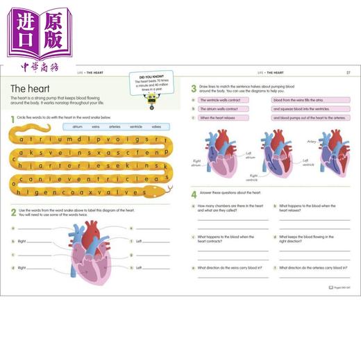 【中商原版】Science Technology and Engineering Workbook  DK 科学 技术 工程手册 7-10岁 KS2 STEM课程学习 英文儿童教辅 商品图3