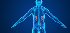 男人肾虚、肾亏就“不行”？每天这样做，让你重回年轻态，腰好肾好 更强硬！ 