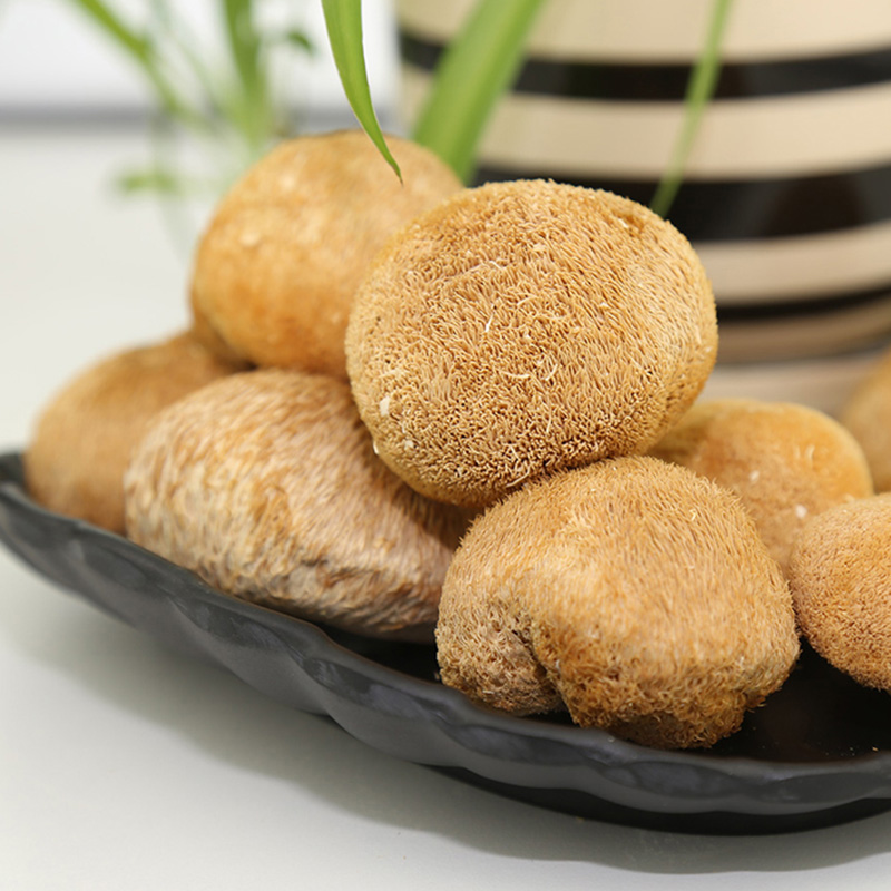 有机猴头菇100克（无硫磺）| 浙江丽水信洲