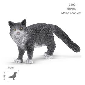 思乐 缅因猫SCHC13893