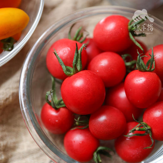 有机圣女果 | 合作生产* Organic Cherry Tomatoes ｜Coproducted 商品图5