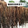 客家梅菜干 250克（无负面添加）|梅州蕉岭邹思红 商品缩略图1