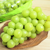 【顺丰空运/中通冷链】云南香印青提·阳光玫瑰葡萄 3/4斤颗粒装 3斤串装 阳光玫瑰香印青提 商品缩略图0