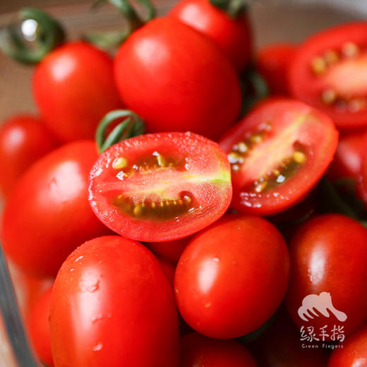 有机圣女果 | 合作生产* Organic Cherry Tomatoes ｜Coproducted 商品图3