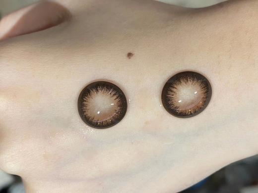 Sugarplum糖豆家-焦糖华夫850缺货 商品图1