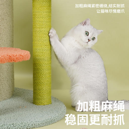 zeze艾朵拉花屋别墅猫爬架猫窝一体通天柱猫树猫架猫爬架猫爬柱多层爬架 商品图1