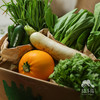 生态蔬菜箱（北京）| 合作生产* Ecological vegetable box | Coproduction 商品缩略图3