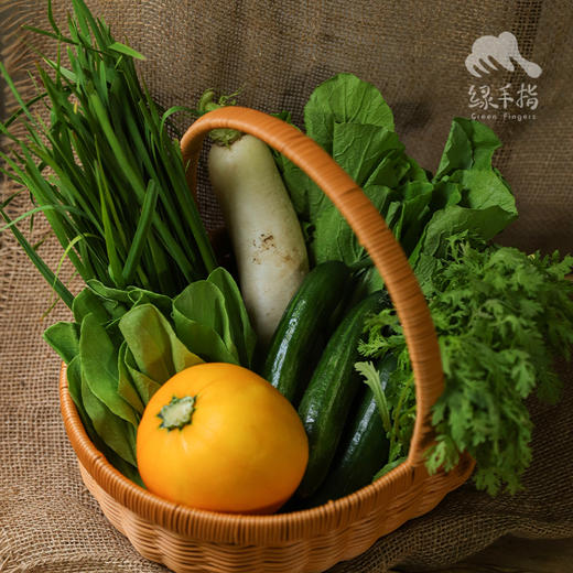 生态蔬菜箱（北京）| 合作生产* Ecological vegetable box | Coproduction 商品图2