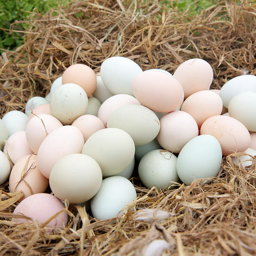 谷宝生态土鸡蛋30枚礼盒装 商品图3