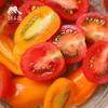 有机圣女果 | 合作生产* Organic Cherry Tomatoes ｜Coproducted 商品缩略图2