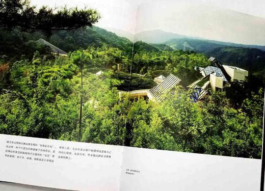 《贝聿铭全集》，16开精装铜版彩印，[美] 菲利普·朱迪狄欧 / [美] 珍妮特·亚当斯·斯特朗著，北京联合出版公司2021年一版一印，定价238，售价178元。

本书是迄今为止权威、全面的贝聿铭 商品图11