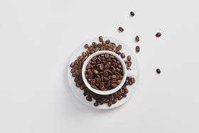 什么是微批次咖啡豆？