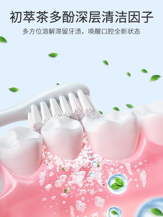 舒齿适植物氨基酸清热去口气牙膏120g 商品图2