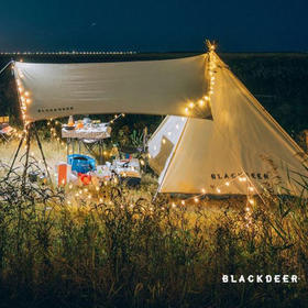 黑鹿串串灯USB版BD12027201