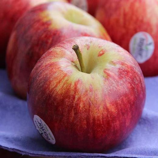 佳丽果（个） 商品图0