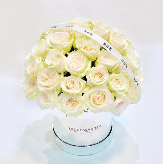 银色奥斯卡纯爱抱抱桶 商品图1