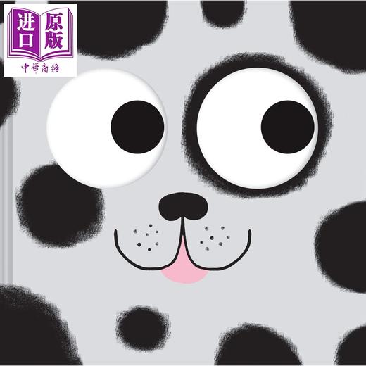 【中商原版】Catch Me: A Seek-and-Find Book 捉到我你就棒：找找书 英文原版 进口原版 5岁到8岁 精装 儿童图画书 Anders Arhoj 商品图0