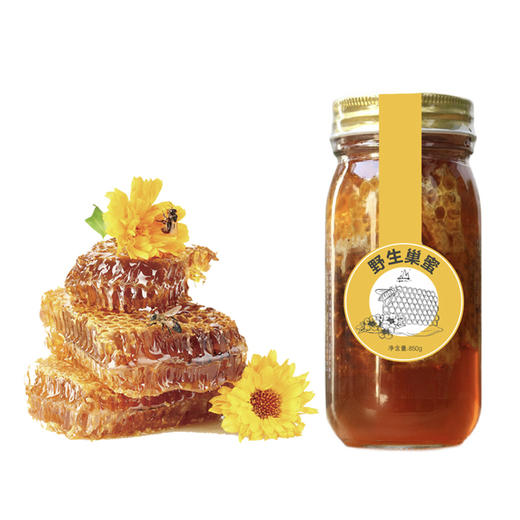 云南红河屏边一座村野生巢蜜850g 商品图2