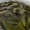 皇家贡茶！细叶皇后！以雅见长！——2022年困鹿山古树头春挑采200g 商品缩略图4