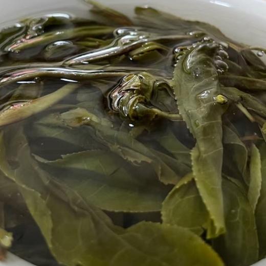 皇家贡茶！细叶皇后！以雅见长！——2022年困鹿山古树头春挑采200g 商品图4