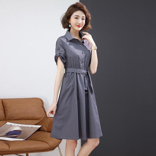 HR WL6626-19刺绣衬衫连衣裙收腰气质纯色裙 商品图3