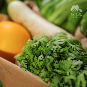 生态蔬菜箱（北京）| 合作生产* Ecological vegetable box | Coproduction