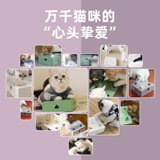FOFOS两只福狸猫玩具电动智能自嗨魔盒逗猫棒宠物玩具猫解闷神器 商品图3