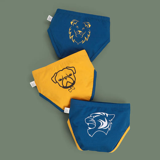 【3条装 柔软舒适 不夹小PP】A类儿童内裤纯男童棉三角裤卡通恐龙印花小童宝宝裤头小男孩底裤 商品图12