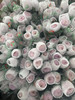 【乒乓菊】粉色  约10枝/扎 商品缩略图8
