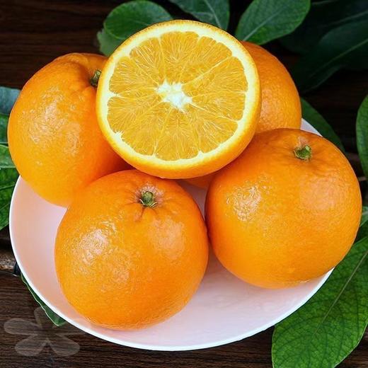 新奇士脐橙（个） 商品图0