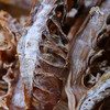 生态笋干  | 合作生产* Ecological dried bamboo shoots | Coproduction 商品缩略图4