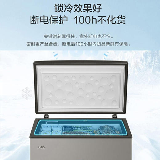 海尔冰柜家用 冷藏冷冻转换小型 冷冻柜 商用冰柜速冻保鲜柜 一级能效 103升 BC/BD-103HMC 商品图2