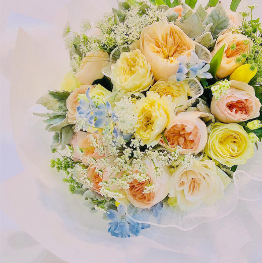 夏日水彩 商品图0