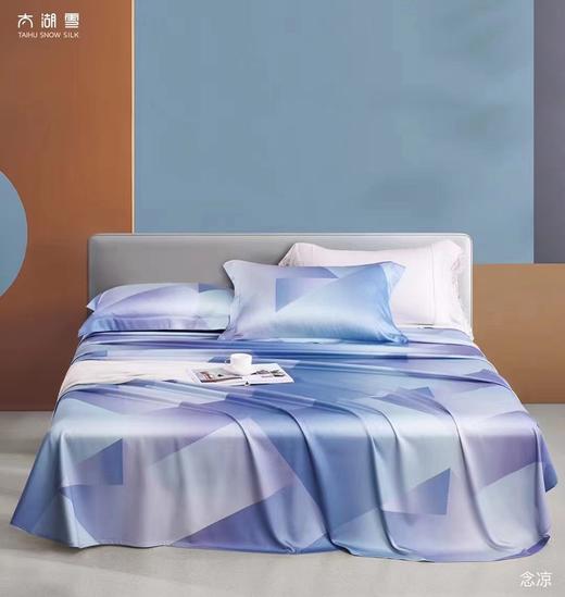 太湖雪竹纤维软凉席三件套 商品图0